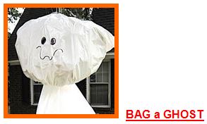 bag a ghost
